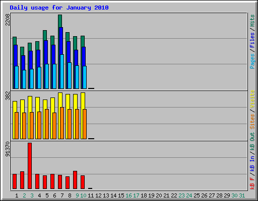 Daily usage for January 2010