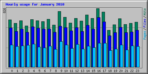 Hourly usage for January 2010